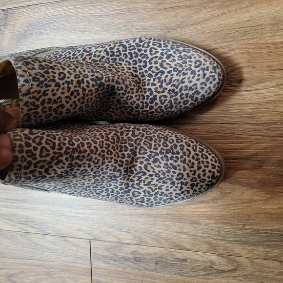 Lucky Brand - Picture 6 of 6